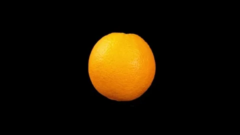 Orange Video stock 219531023