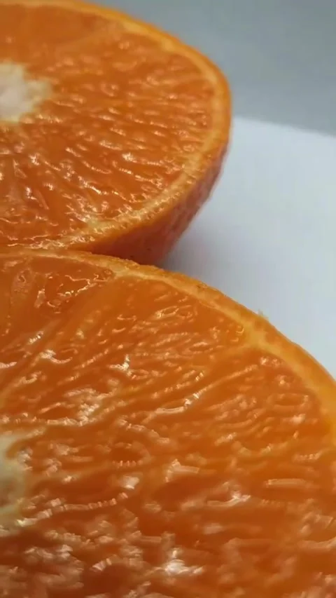 Orange Stock Footage 281503958