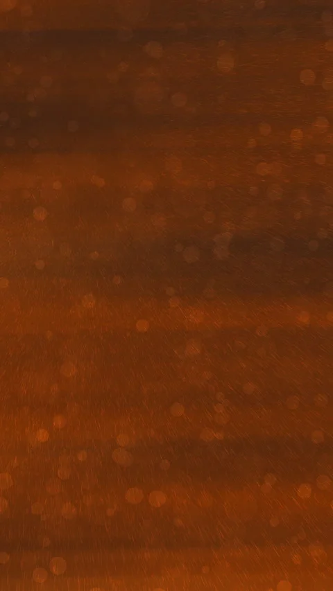 Orange Stock Footage 296221481