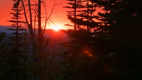Orange forest sunset 2 Elkhorn Mountains Oregon Wallowa 94 Stock Footage 81834244