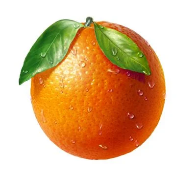 Orange fresh fruit with two leaves and water droplets, on white background. Stock Illustration