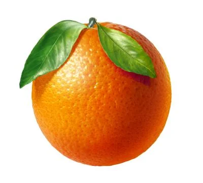Orange fresh fruit with two leaves, on white background. Stock Illustration