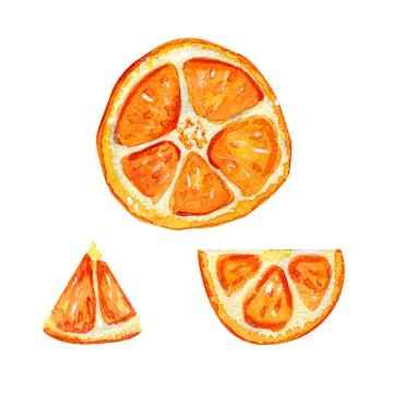 Orange fresh set. Summer citrus exotic drink. Stock Illustration