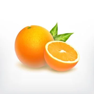 Orange fruit and orange slice Illustrazione stock