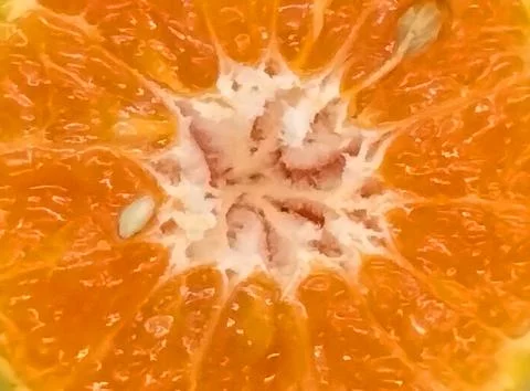 Orange fruit background Stock Photos