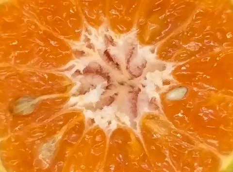 Orange fruit background Stock Photos