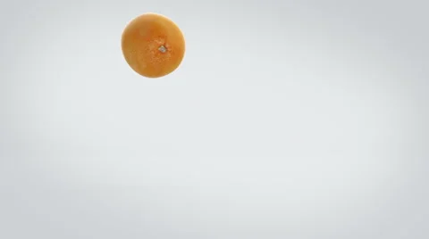 Orange fruit bouncing playfully and then coming to a stand still . Stock Footage 57815061