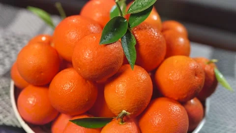 Orange Fruit Bowl Panoramic Stock Footage 230552055