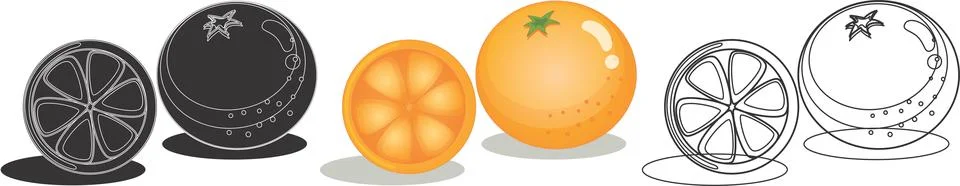 Orange fruit design illustration Vector Stock Illustration