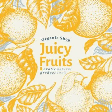 Orange fruit design template. Hand drawn vector fruit illustration. Engraved Stock Illustration