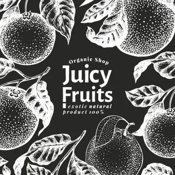 Orange fruit design template. Hand drawn vector fruit illustration on chalk Stock Illustration