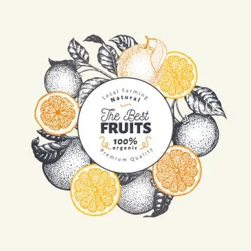 Orange fruit design template. Hand drawn vector fruit illustration. Engraved Stock-Illustration