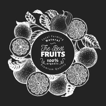 Orange fruit design template. Hand drawn vector fruit illustration on chalk Stock Illustration