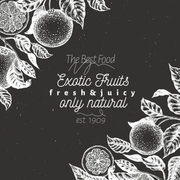 Orange fruit design template. Hand drawn vector fruit illustration on chalk Stock Illustration