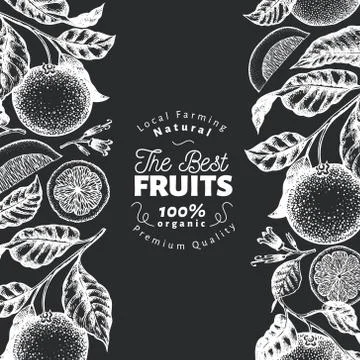 Orange fruit design template. Hand drawn vector fruit illustration on chalk Stock Illustration