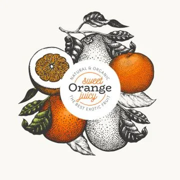 Orange fruit design template. Hand drawn vector fruit illustration. Engraved  Stock Illustration