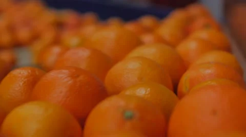 Orange Fruit Details 스톡 동영상 62892487