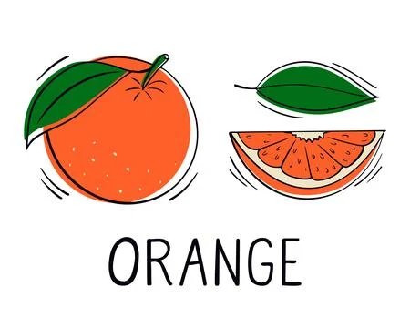 Orange fruit in doodle style. Design elements. Citrus fruits Stock Illustration