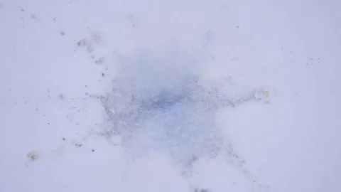 Orange fruit explode on snow, blown asunder, parts quickly fly away Vídeos de archivo 84766863