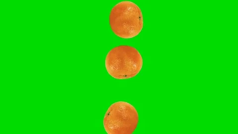 Orange fruit  Falling Animation Green Screen effects HD Video stock 269545744