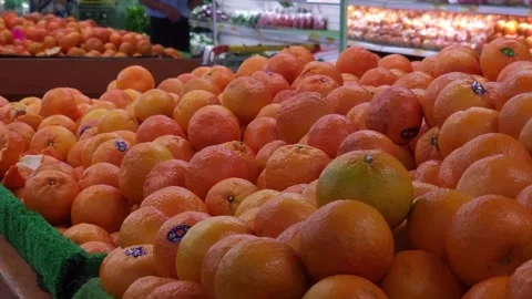 Orange Fruit Stock Footage 244631517