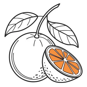 Orange Fruit Icon Outline Vector on White Background Stock Illustration