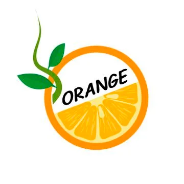 Orange Fruit icons flat style, Vector Illustration. Stock Illustration
