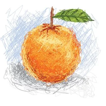 Orange fruit Stock Illustration