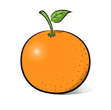 Orange Fruit Illustrazione stock