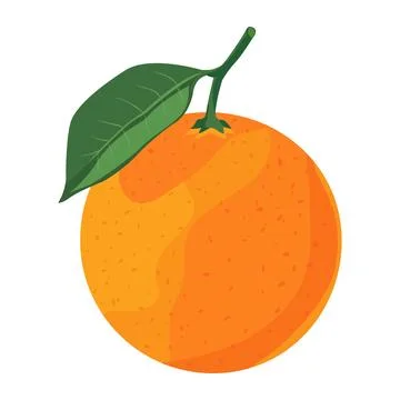 Orange fruit Stock Illustration