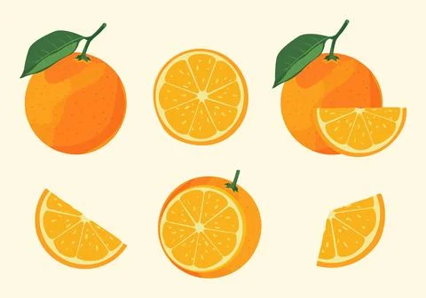 Orange Fruit Stock Illustration