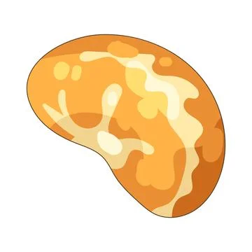 Orange fruit Stock Illustration