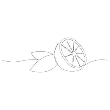 Orange fruit illustration. One continuous line minimal style vector Stock Illustration