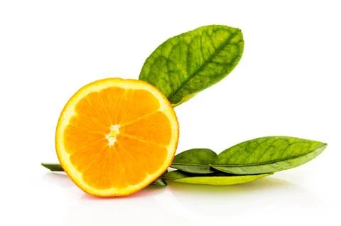 Orange fruit isolated Stock Photos