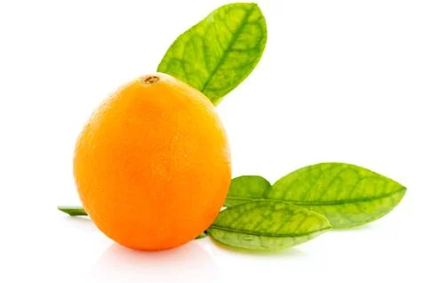 Orange fruit isolated Stock Photos