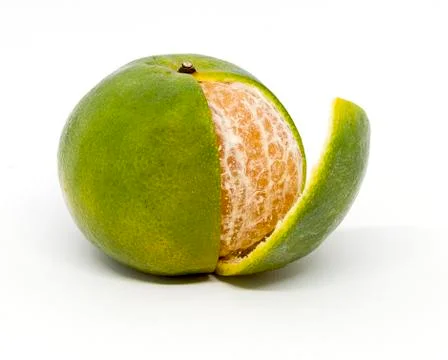 Orange fruit isolated Stock Photos