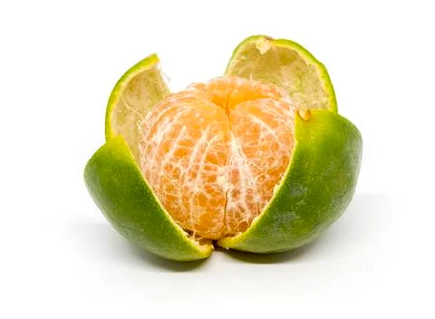 Orange fruit isolated Stock Photos