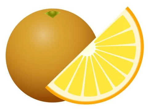 Orange fruit isolated on white background Stock Illustration
