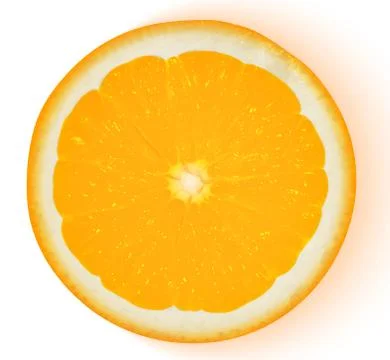 Orange fruit isolated on white background. Vector illustration Stock-Illustration