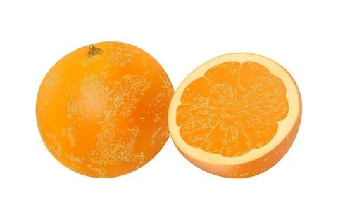 Orange fruit isolated on white background Stock Illustration