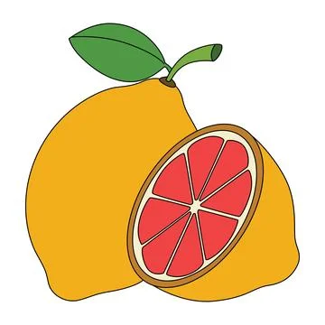 Orange fruit isolated on a white background Stock Illustration