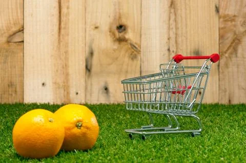 Orange fruit on lawn Stock Photos
