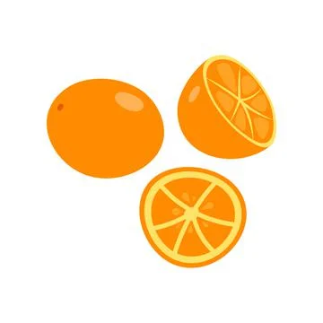 Orange fruit with leaf and slice. Vector illustration isolated on white backg Stock Illustration