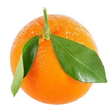 Orange fruit with leaf isolated on white Stock Photos