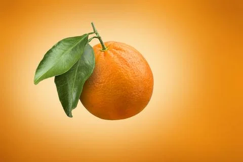 Orange fruit with leaves Stock Photos