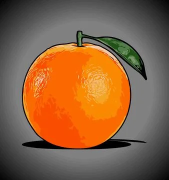 Orange fruit with leaves vector template Stock Illustration