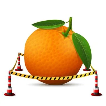 Orange fruit located in restricted area Stock Illustration