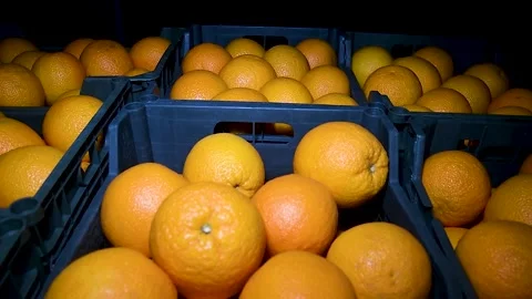 Orange fruit on the market Stock Footage 195954350