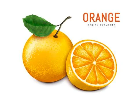 Orange with fruit meat Stock Illustration