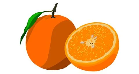 Orange Fruit One whole in the Left and a Half Cut on the Right Stock Illustration